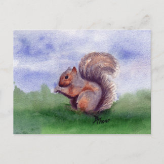 Squirrel Study Briefkaart