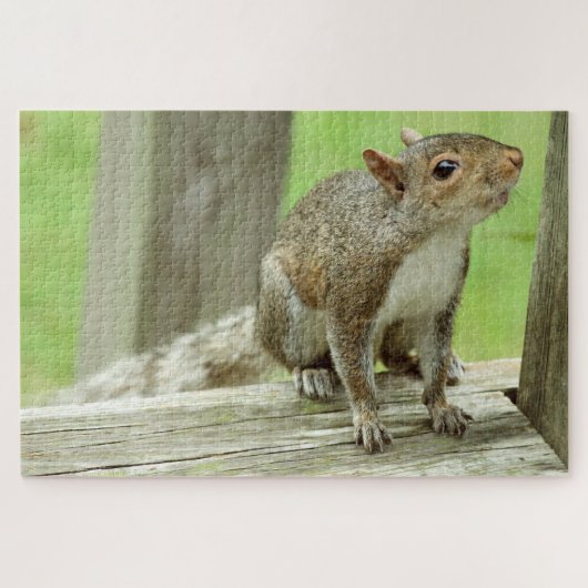 Squirrel Visitor Legpuzzel (Horizontaal)