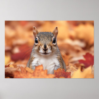 Squirrel Wild Animal Loving Portrait  Poster