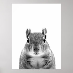 Squirrel Woodland Modern Portret zwart wit Poster