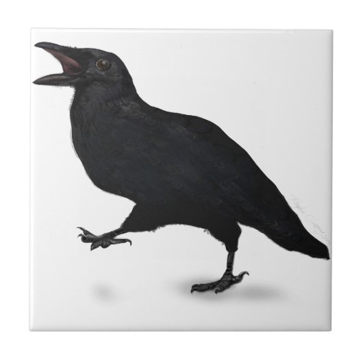 Sqwarking Crow Tegeltje (Voorkant)