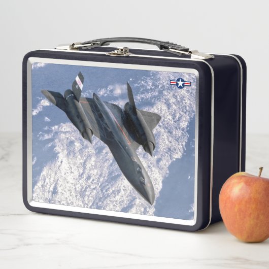 SR-71 BLACKBIRD (In situ)