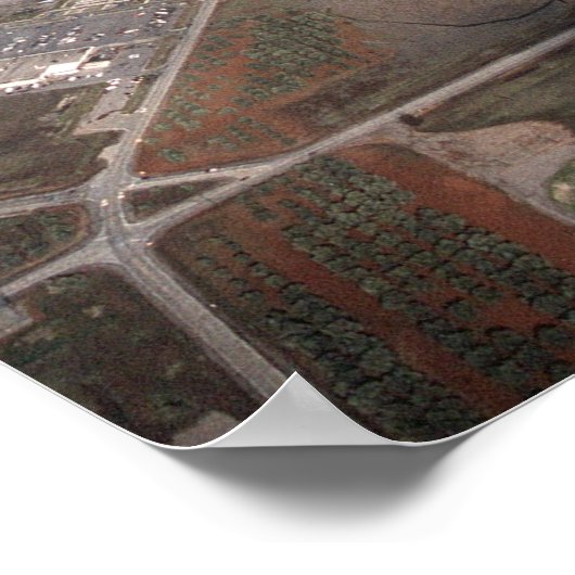 SR-71 Blackbird Poster (Hoek)