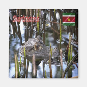 SR - Suriname - Bigi-Pan kaaiman Magneet