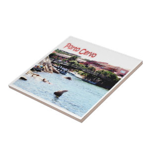 SRD051 PORTO CERVO, Sardinië, Italië, Tegeltje