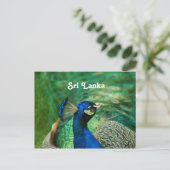 Sri Lanka Peafowl Briefkaart (Staand voorkant)