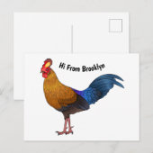 Srilankaanse junglefowl cartoon illustratie briefkaart (Voorkant / Achterkant)