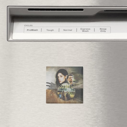 SRS-magneet Magneet (Insitu (Vaatwasser))