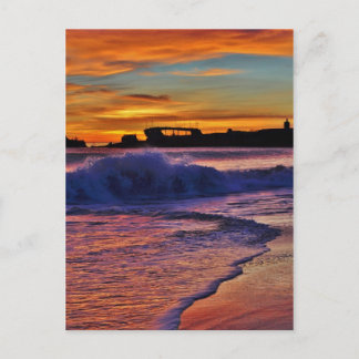 SS Palo Alto. Briefkaart