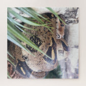 Ssssluimerpuzzel Legpuzzel (Horizontaal)
