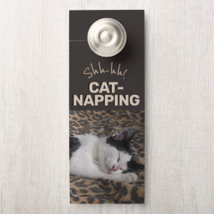 Ssst! Cat Napping
