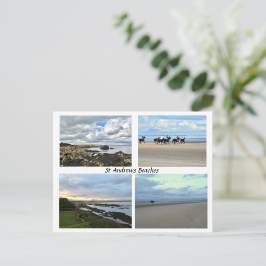 St Andrews Scotland Beaches, West Sands, Paarden Briefkaart (Staand voorkant)