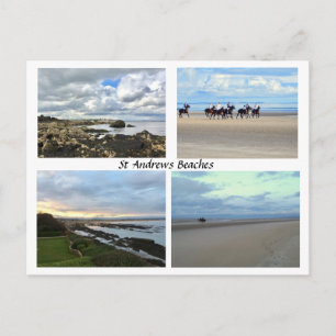 St Andrews Scotland Beaches, West Sands, Paarden Briefkaart