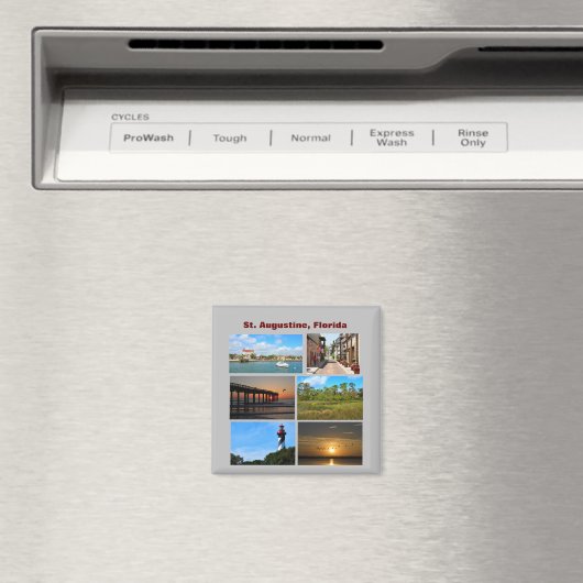 St. Augustine Beach, Florida Magneet (Insitu (Vaatwasser))