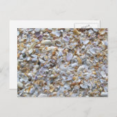 St. Augustine Beach Sand. Tiny Shells Florida Briefkaart (Voorkant / Achterkant)