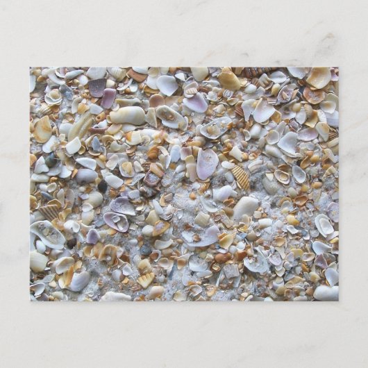 St. Augustine Beach Sand. Tiny Shells Florida Briefkaart (Voorkant)