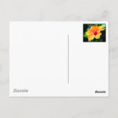 St. Augustine Briefkaart (Achterkant)