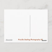 St Augustine, FL. Briefkaart (Achterkant)