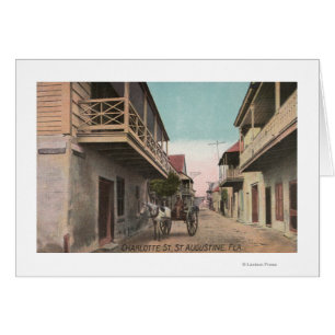 St. Augustine, Florida - Uitzicht van Charlotte St