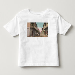 St. Augustine, Florida - Uitzicht van Charlotte St Kinder Shirts