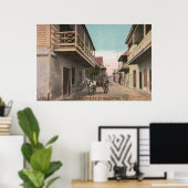 St. Augustine, Florida - Uitzicht van Charlotte St Poster (Thuiskantoor)