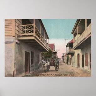 St. Augustine, Florida - Uitzicht van Charlotte St Poster