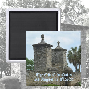 St Augustine Old City graast Historic Florida Magneet