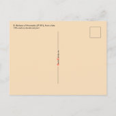 St. Barbara (JP 01) Carte postale 1 (Dos)