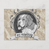 ST. BERNARD (2) BRIEFKAART (Voorkant)