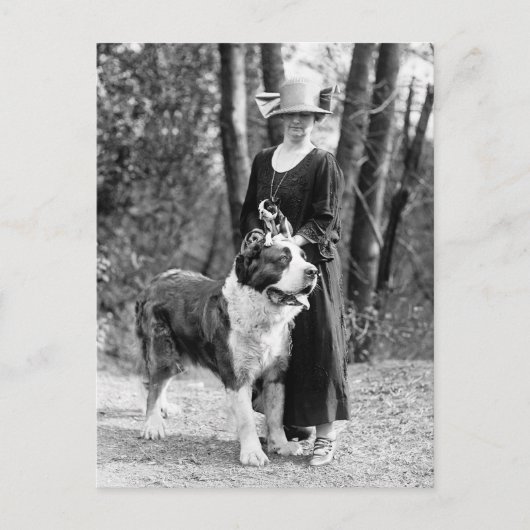 St Bernard & Boston Terrier, 1925 Briefkaart (Voorkant)