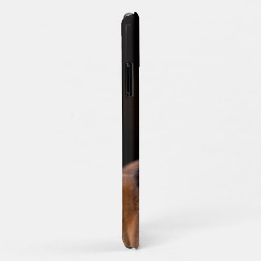 St Bernard Case-Mate iPhone Case (Achterkant/rechts)