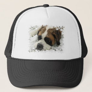 St Bernard Dog Baseball Hat Trucker Pet