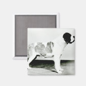 St. Bernard Dog Magneet (Voorkant / Achterkant)