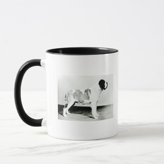 St. Bernard Dog Mok (Links)