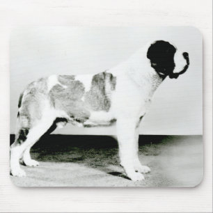 St. Bernard Dog Muismat