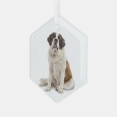 St. Bernard Dog Pet Animal Glas Ornament (Voorkant links)