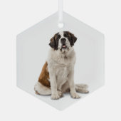 St. Bernard Dog Pet Animal Glas Ornament (Achterkant)