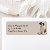 St. Bernard Dog Pet Animal Label (Insitu)