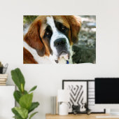 st bernard dog post poster (Thuiskantoor)