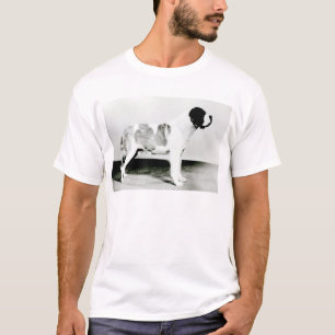 St. Bernard Dog T-shirt