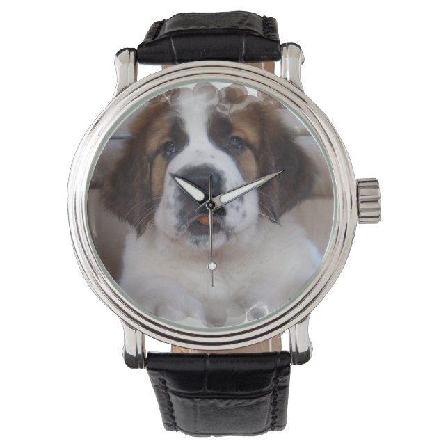 St Bernard Horloge (Voorkant)