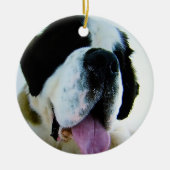 ST. BERNARD ORNAMENT (Voorkant)