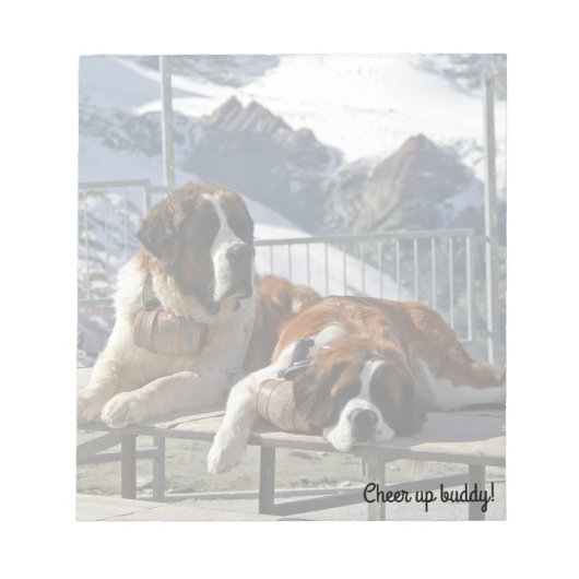St-bernard pose - bloc-notes (Devant)