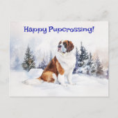 St. Bernard Pupcrossing - Briefkaart (Voorkant)