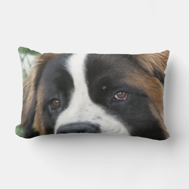 St Bernard Puppies Pillow Kussen (Voorkant)