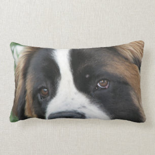 St Bernard Puppies Pillow Kussen