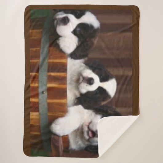 ST.BERNARD-PUPPIES SHERPA DEKEN (Voorkant)