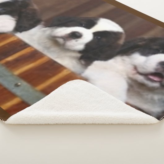 ST.BERNARD-PUPPIES SHERPA DEKEN (3/4)