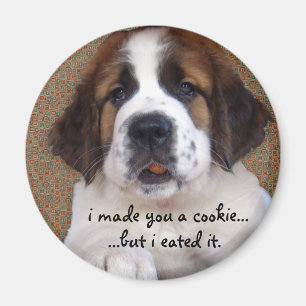 St Bernard Puppy Cookie Magneet
