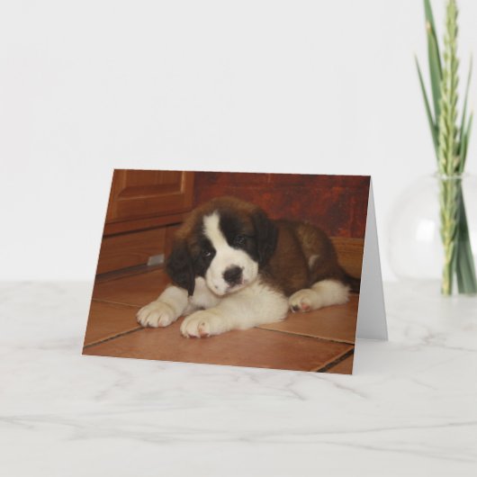St. Bernard Puppy Kaart (Voorkant)